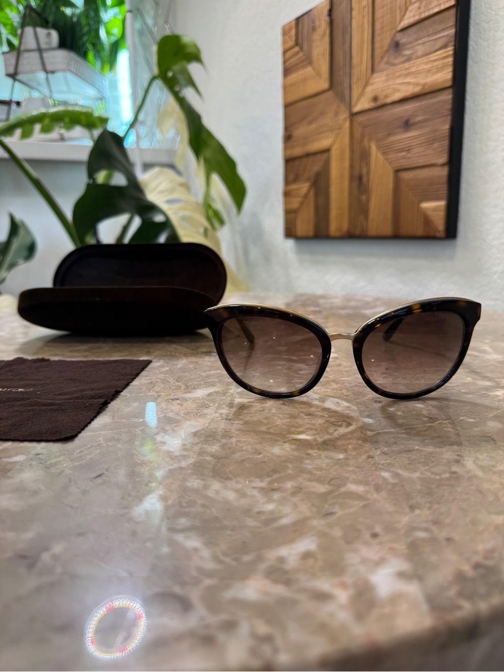 Tom Ford Tortoiseshell Cat-Eye Sunglasses with Brown Gradient Lenses